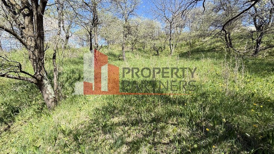 Teren 2500 mp Sohodol - Poză 9