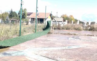 Gagu Dascalu teren ideal pentru investitie zona in dezvoltare - Poză 1