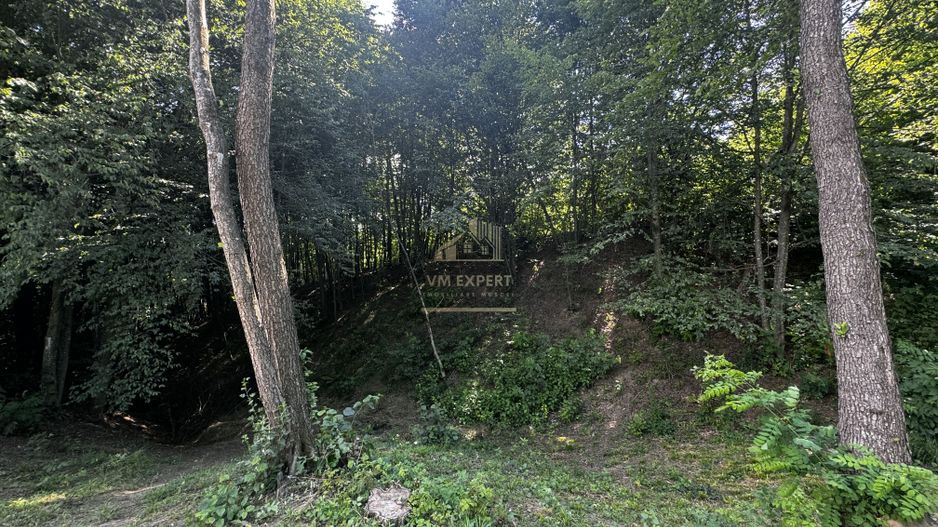 TEREN INTRAVILAN,  SUPRAFAȚA 3446 MP, BUGHEA DE SUS, ARGES - Poză 21