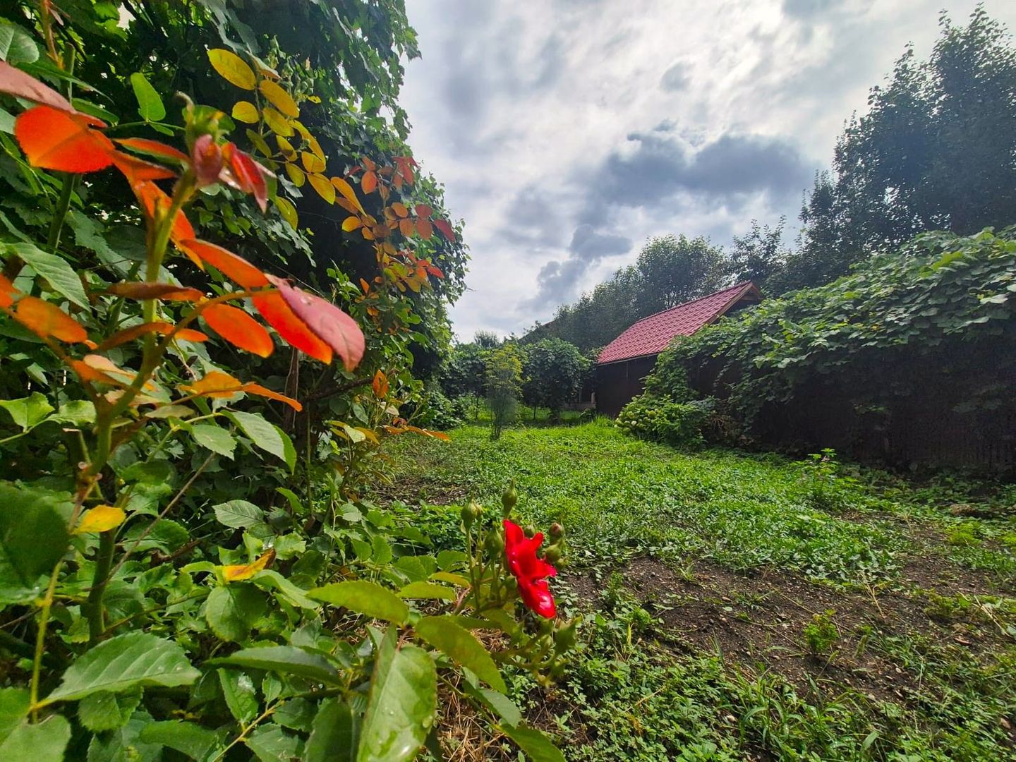 Casă pretabilă investiție, spațioasă, singur în curte, 600 mp teren - Poză 1