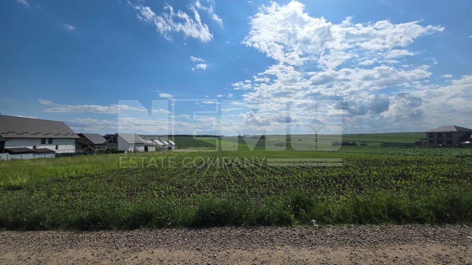 Teren intravilan 5.000 mp | Sfântul Ilie – UAT Șcheia | 425.000 € - Poză 3