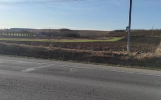 Teren intravilan 15600 mp ( 4 parcele )Livada Cluj - Poză 2