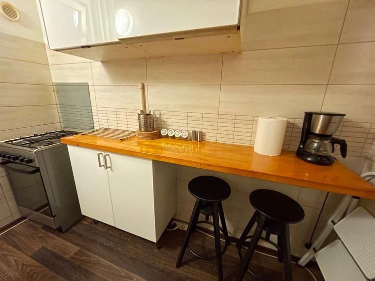 Apartament Ion Campineanu // Cismigiu - Poză 8