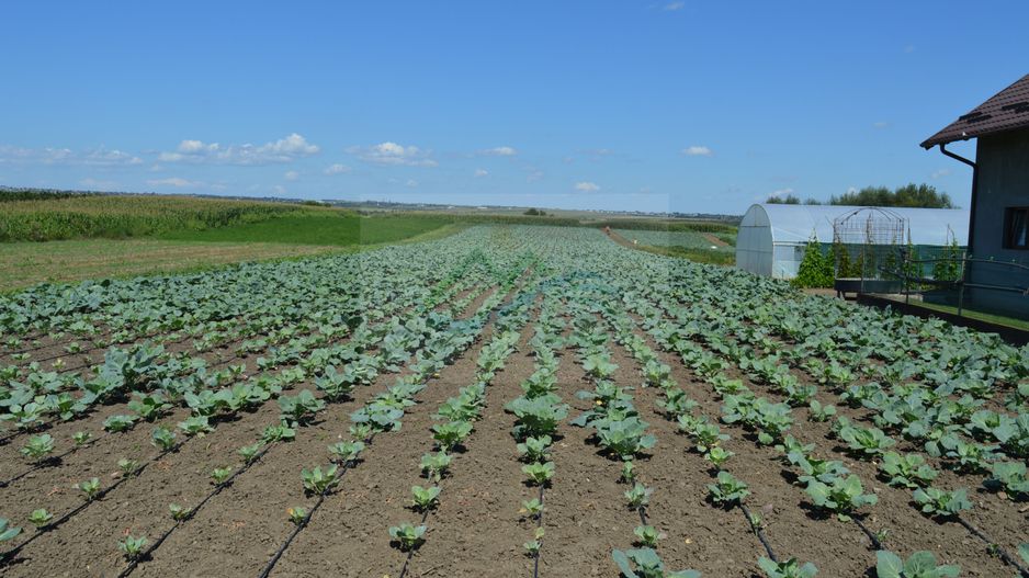 Casă de vânzare Prelipca/Suceava - Poză 24