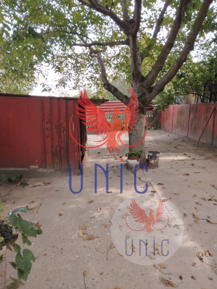 Casa, 24 500 Euro, Maglavit - Poză 15