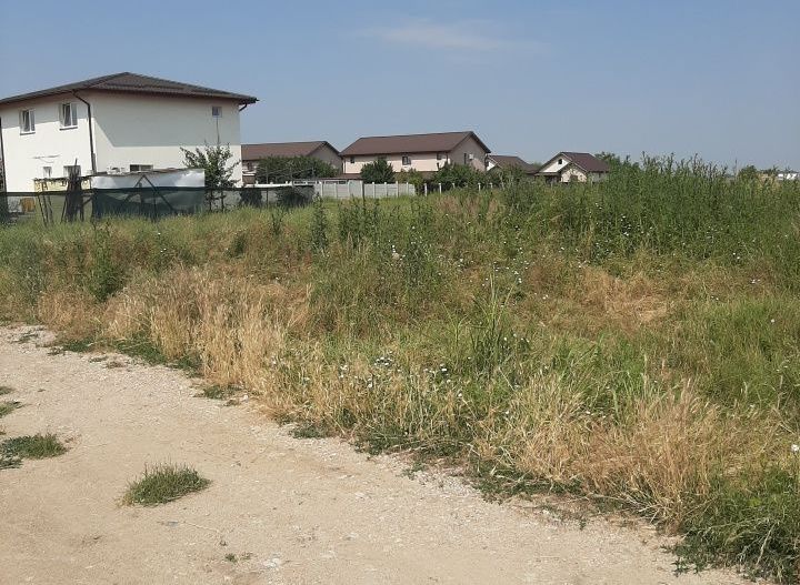Teren 585 mp, intravilan, in Domnesti catre Teghes, din str. Curtea Domneasca - Poză 1