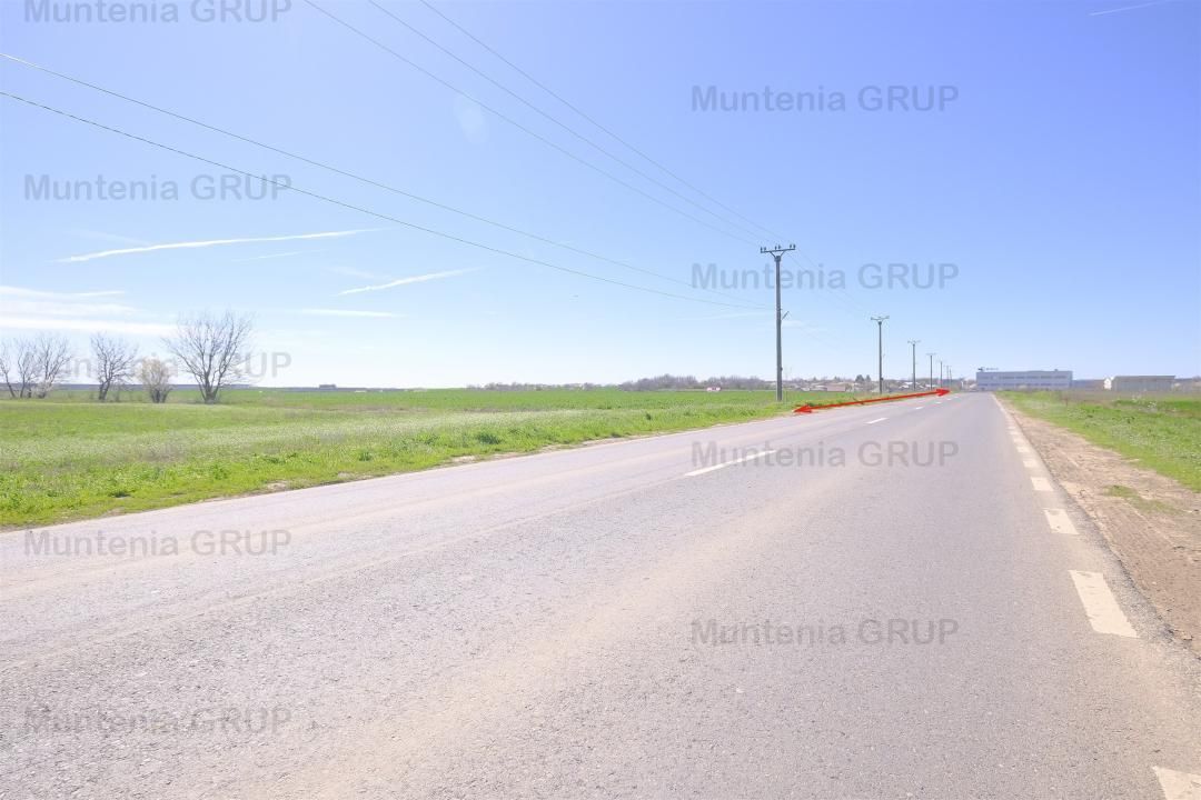 Dascalu, 119.000 mp. teren intravilan cu desch. de 180 m. la DJ 200 - Poză 2