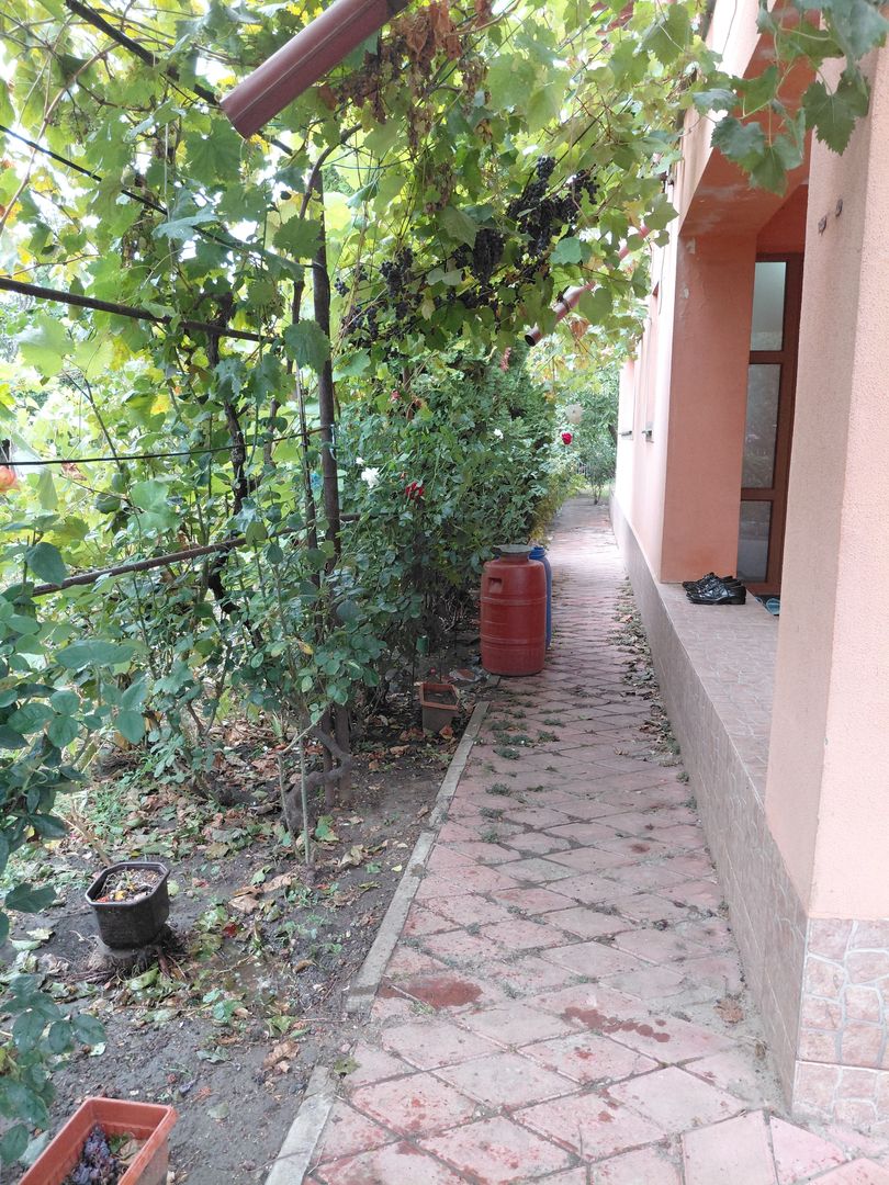 Casă Spațioasă P+1+M, 265 mp Utili, 1000 mp Teren – Toate Utilitățile, Vânători - Poză 41