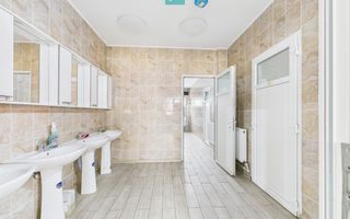 Teren 9.419 mp + hale 7.000 mp – Huși, Vaslui - Poză 12