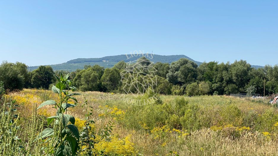 Teren 4100 mp - oportunitate investitie - Bistrita Zona Ranahum - Poză 5