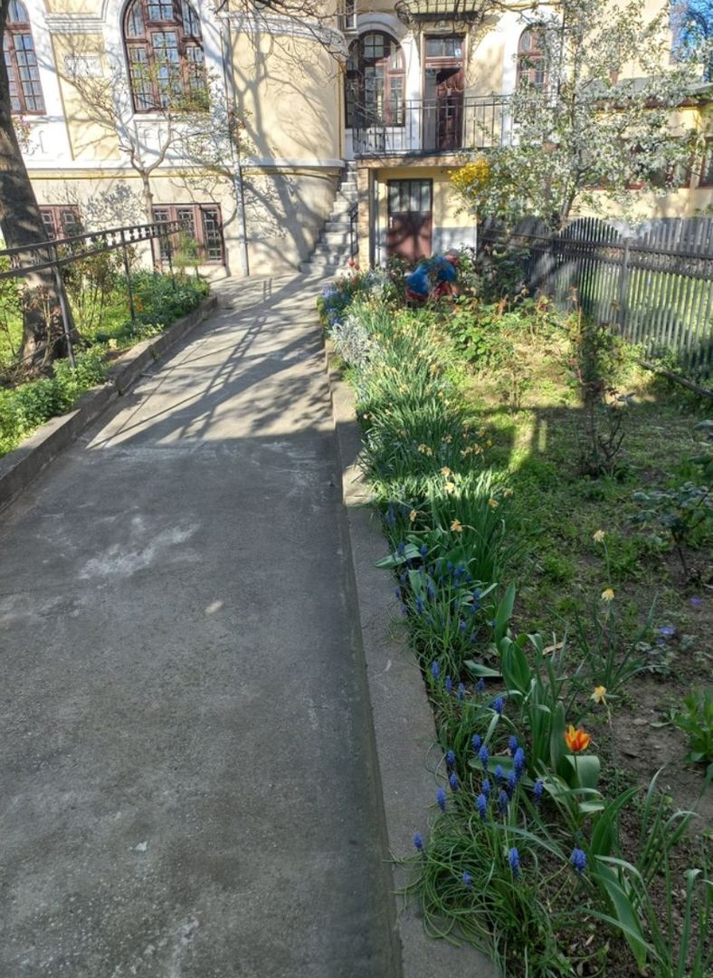 Spațiu birouri Timpuri Noi T517 - Poză 1