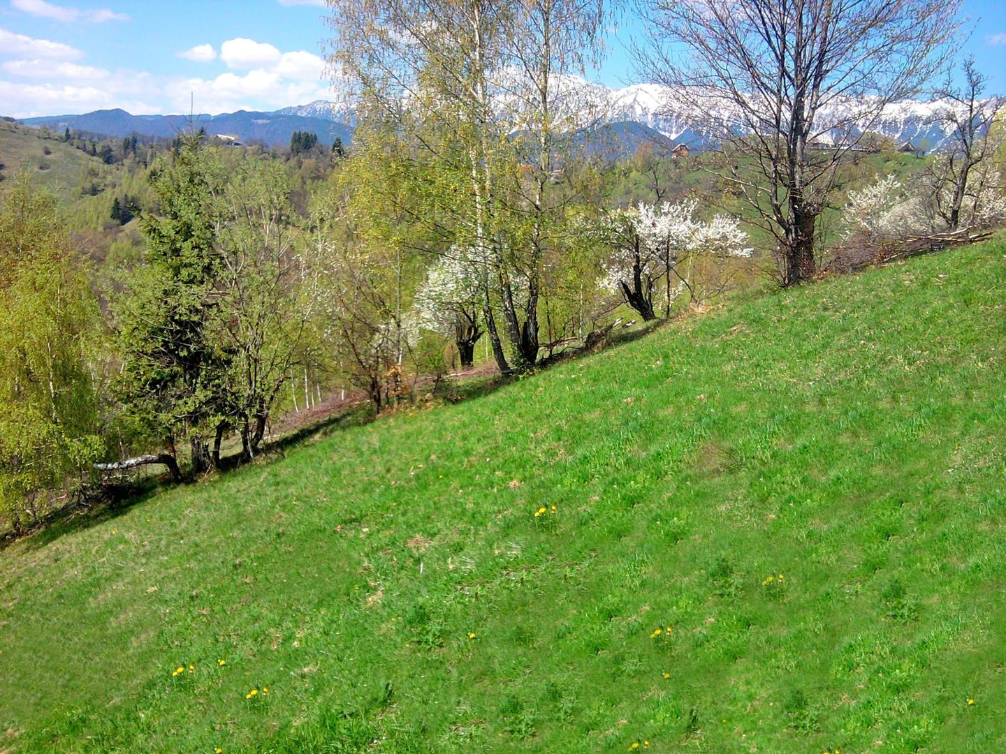 teren intravilan in zona Magura Bran - Poză 28