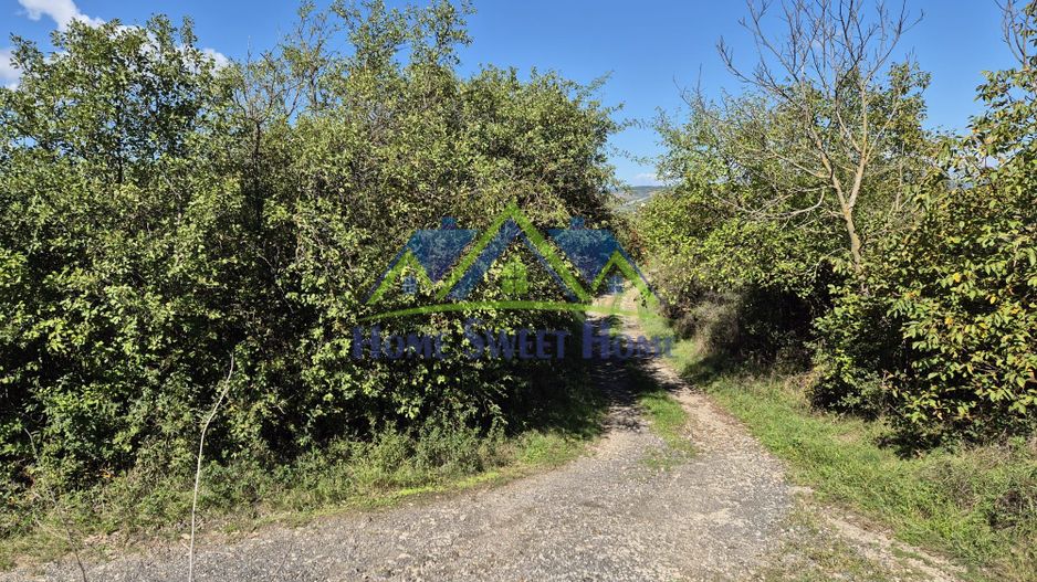 Teren intravilan în zona Lătureni – Buituri, în spatele casei nr. 100! - Poză 9