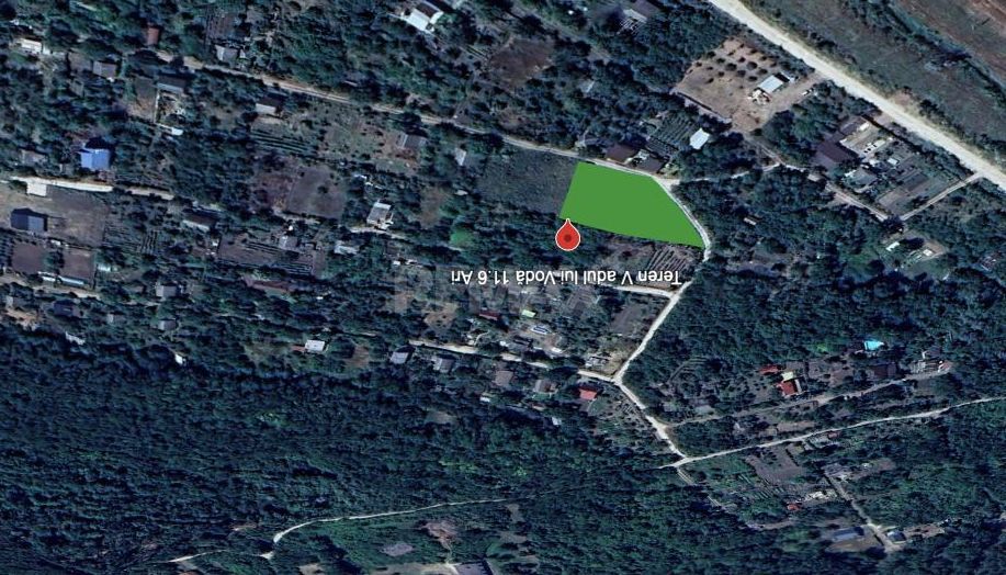 Lot pomicol 12 ari  Vadul lui Vodă - Poză 2
