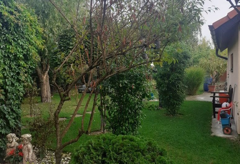 BRASADAS vinde casa cu 6 camere si teren 1200mp în Amati. - Poză 6