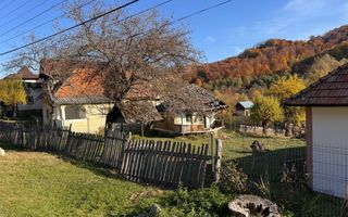 Teren Salatrucu - 7500 mp - Poză 7