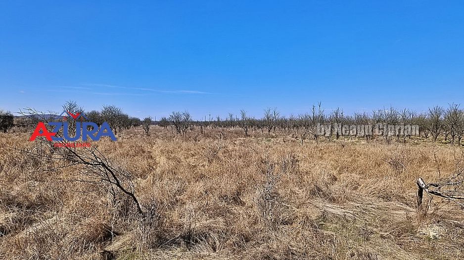 AZURA IMobiliare - Teren Iefin Bascov 3km de Giratoriu - Poză 6
