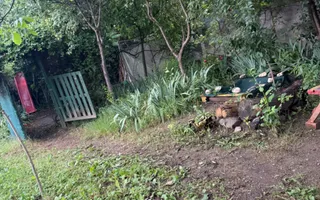 Teren intravilan 572 mp | Trei Stejari, Sibiu | front 19 m, utilități - Poză 11