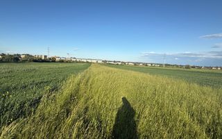 Teren extravilan de vânzare în zona Osoi – 2.650 mp | Front 10 m - Poză 3