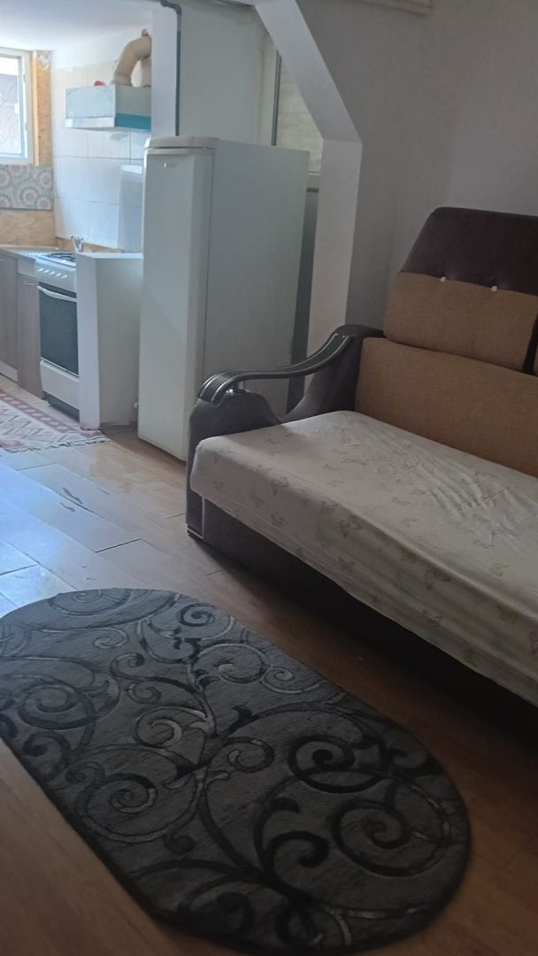 Casa cu curte proprie/ metrou Brancoveanu/Parc Tineretului - Poză 5