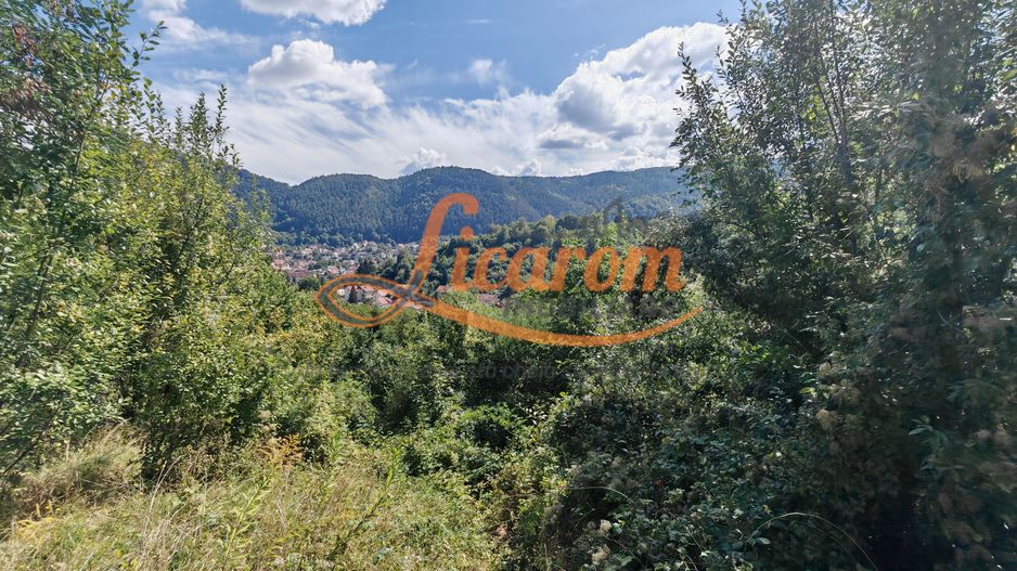 Teren Premium Drumul Poienii (Warthe)-5 Parcele de la 500 mp,270Eur/mp - Poză 4