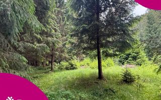 Teren intravilan de vânzare-COMANDAU /COVASNA-2500mp - Poză 1