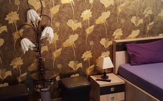 AP. 2 CAMERE DRUMUL TABEREI, BUCATARIE INCHISA, METROU 3 MINUTE - Poză 2