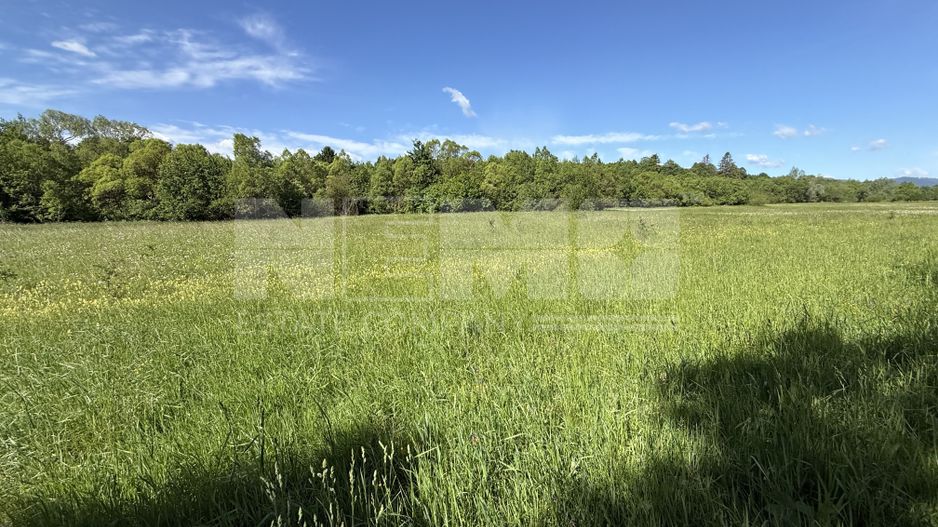 Teren de vânzare | Hardic | 2.300 mp - Poză 5
