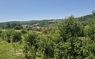 Casa de vacanta in comuna Sistarovat - Poză 11