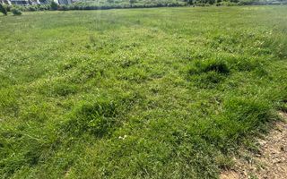 Teren 1239 mp front 29 in Aradul nou - Poză 11