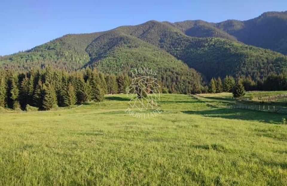Teren PIATRA FANTANELE - 11.800 mp- ideal investitie, pensiune, hotel - Poză 3