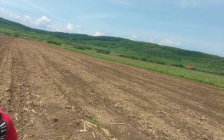 Teren extravilan de vânzare | Bradu | 10.000 mp | intabulat CF - Poză 1