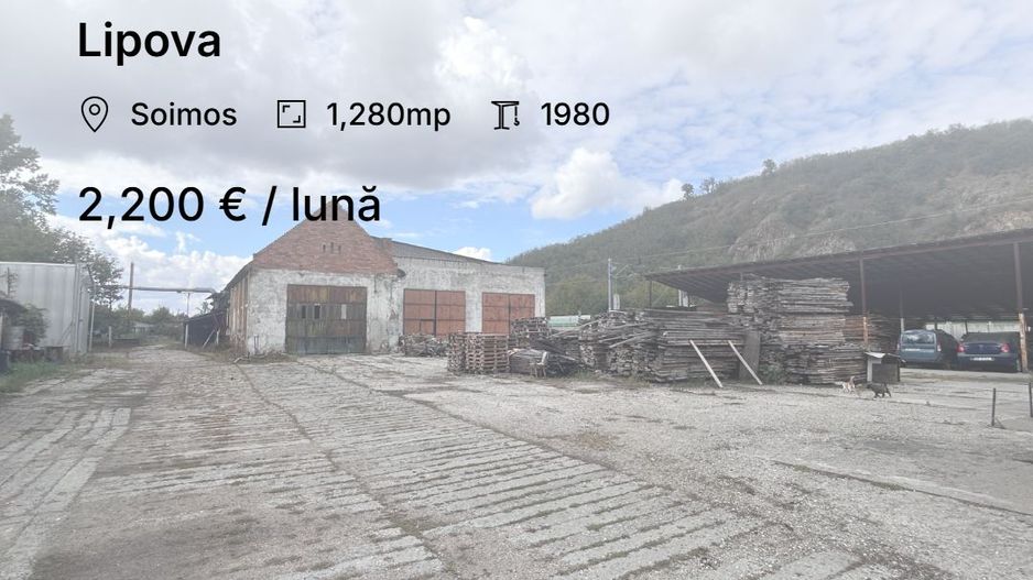 Hala industriala de inchiriat + Teren - Lipova - Poză 1
