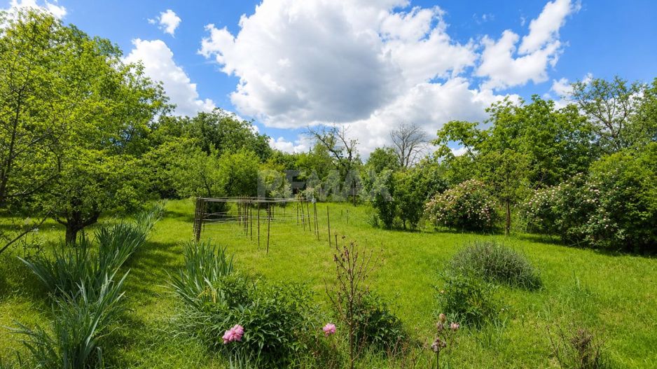 Nu este doar o vilă. Este refugiul tău verde cu 38 ari și pădurice proprie! - Poză 9