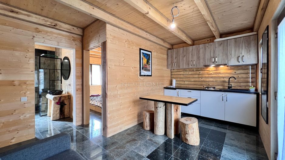 Apartament 1 camera in regim hotelier, Casa TIMIS - Poză 5