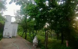 Vila 9 camere***gradina cu pomi fructiferi//1085 mp teren***Dragomiresti-Deal - Poză 16