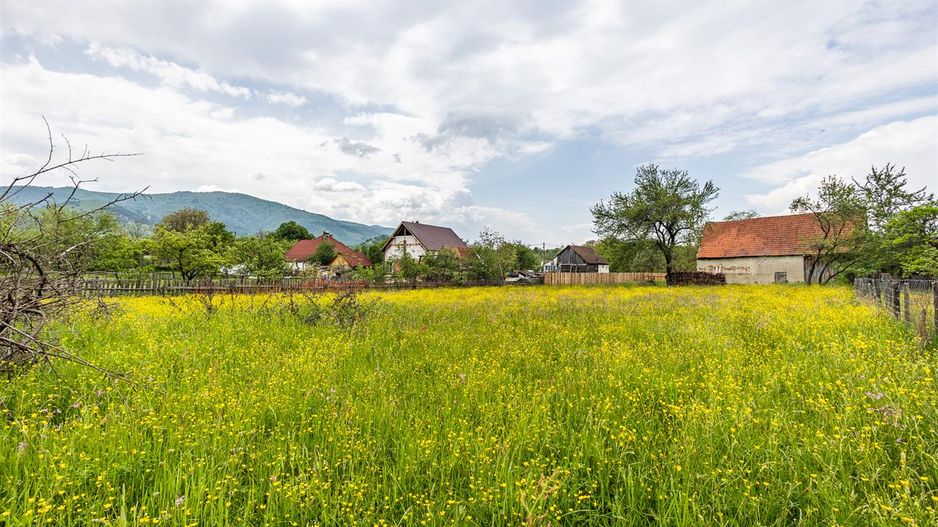 Casa traditionala + 8.500 mp teren, intravilan, Sinca Noua, Brasov - Poză 16