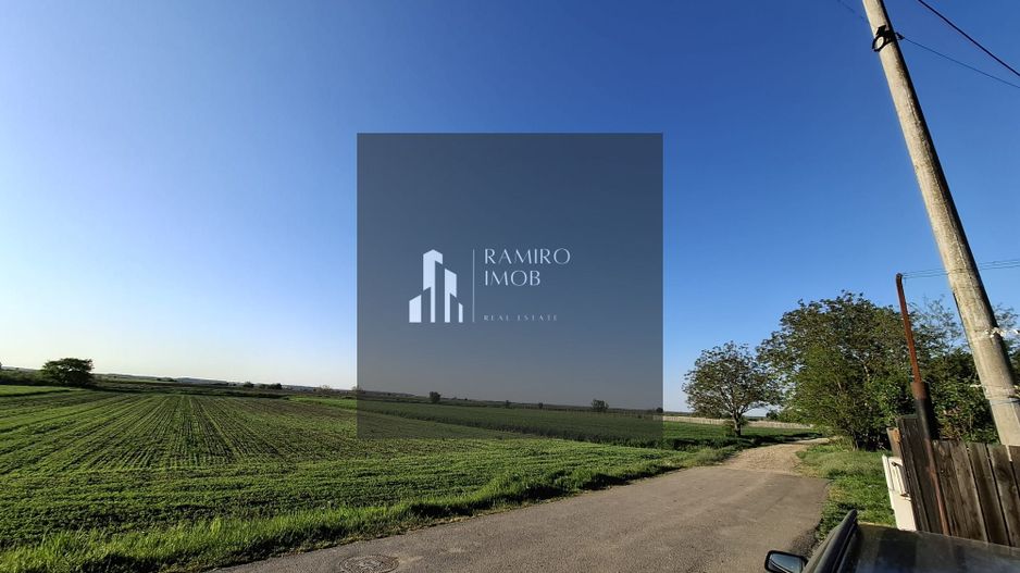 DÂRZA - TEREN INTRAVILAN - Poză 2