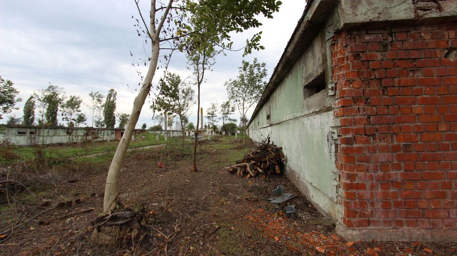 Vanzare hale Mosnita Noua-fosta Ferma 7 - Poză 37