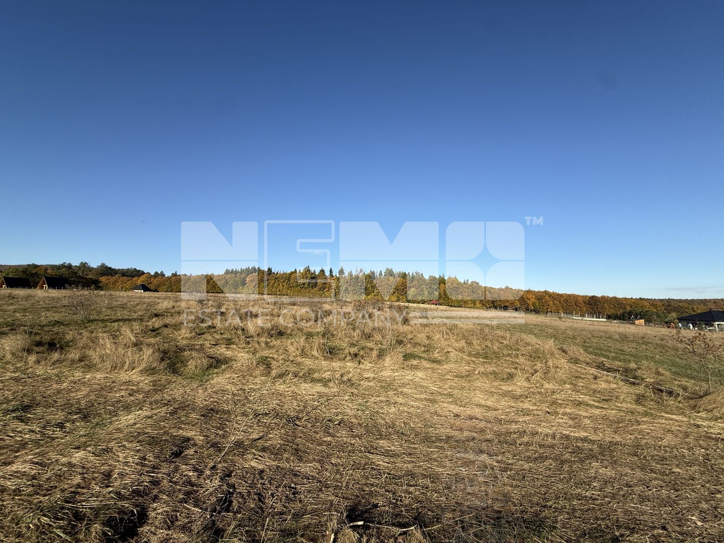 Teren intravilan | Horodnic de Sus – zona Tecioara | 2.900 mp - Poză 3