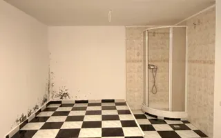 Vilă de vânzare în Sector 4 - 323 mp utili - 10 camere - Giurgiului - Poză 39