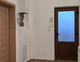 Apartament 1 camera zona Fabric curte comuna - Poză 3