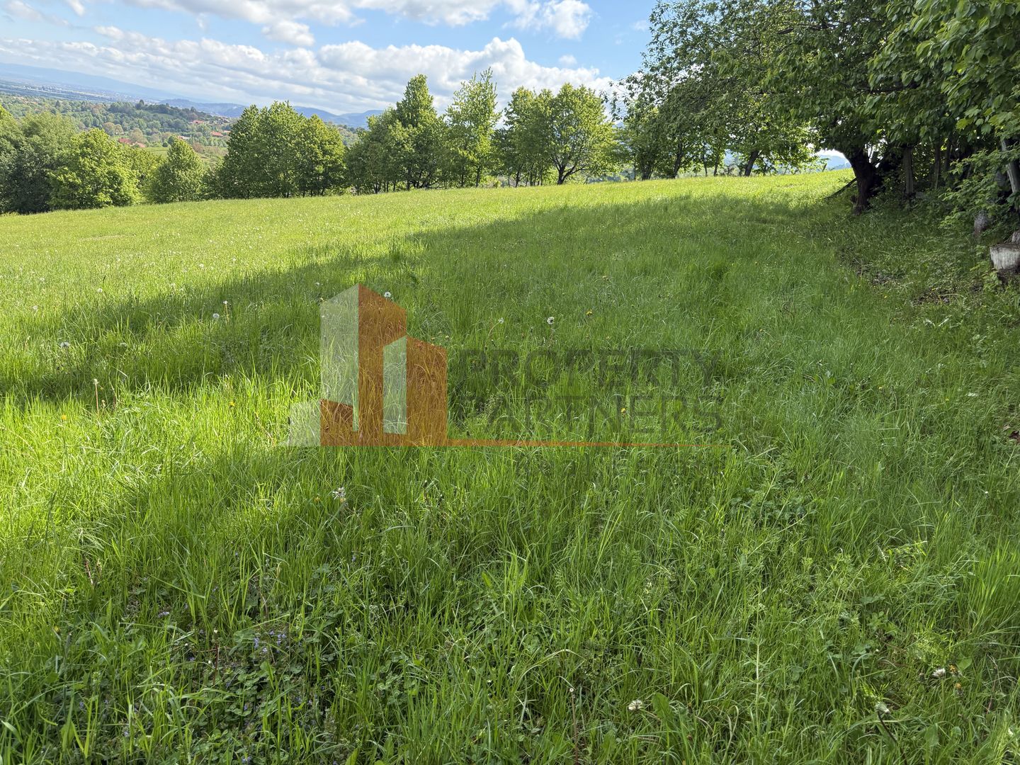 Teren Bran Sohodol 6700 mp - Poză 2