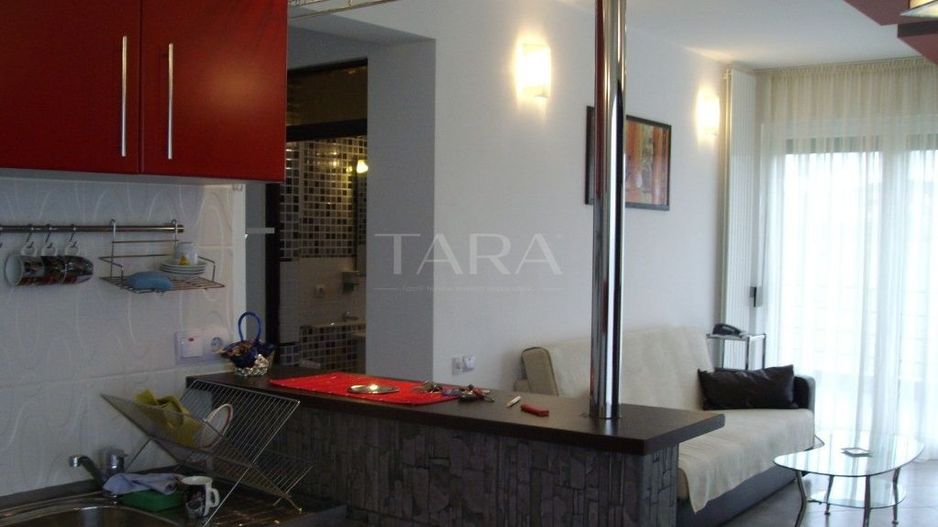 Penthouse 2 camere cu terasă panoramică – Europa - Poză 2