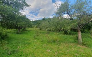 Teren extravilan de vânzare – 2.110 mp în Sibiel - Poză 4
