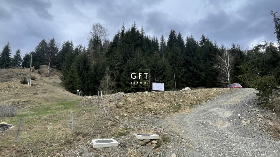 Teren parcelabil cu acces rapid la lacul Colibita - Poză 5