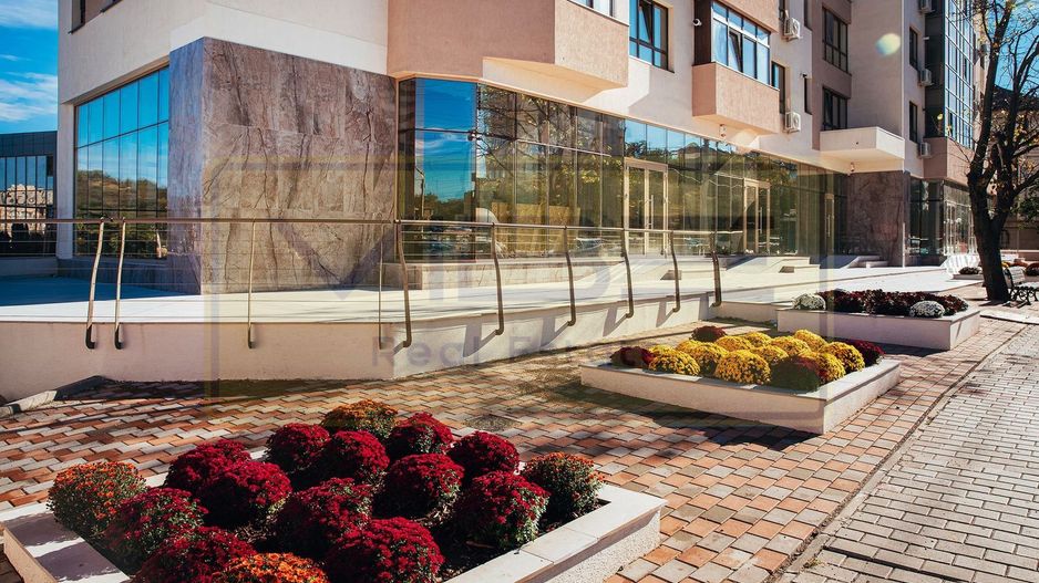 Spatiu la bulevard Nicolina - Rond vechi - Poză 2