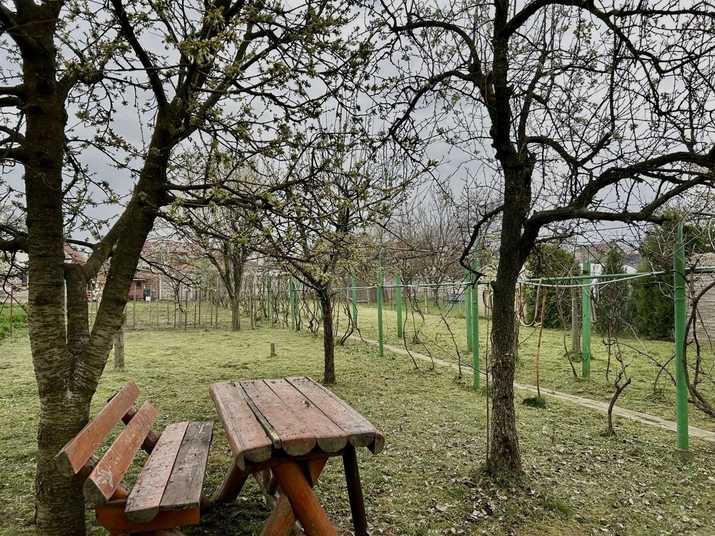 TEREN GENEROS 1000 MP - Poză 2