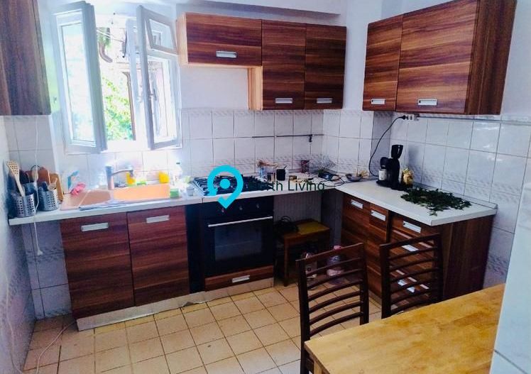 Vila cu grădină proprie -Domenii – Str. Av. Mircea Zorileanu - Poză 6