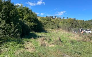 Teren Intravilan 1115mp - Juc-Herghelie - Poză 4